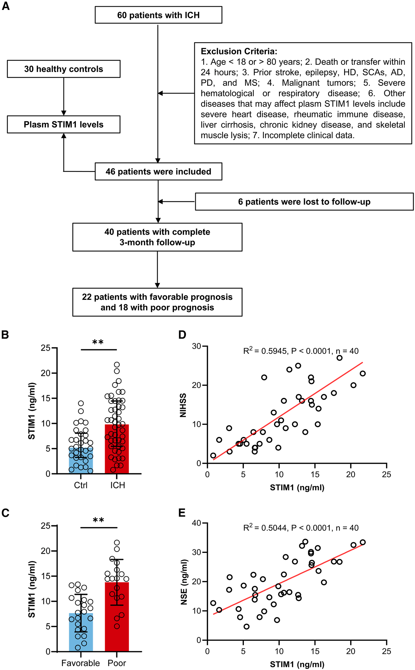 STIM1 regulates iron homeostasis and promotes neuronal ferroptosis to aggravate cerebral hemorrhage